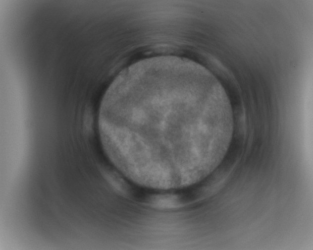 X0000113640266200910091542