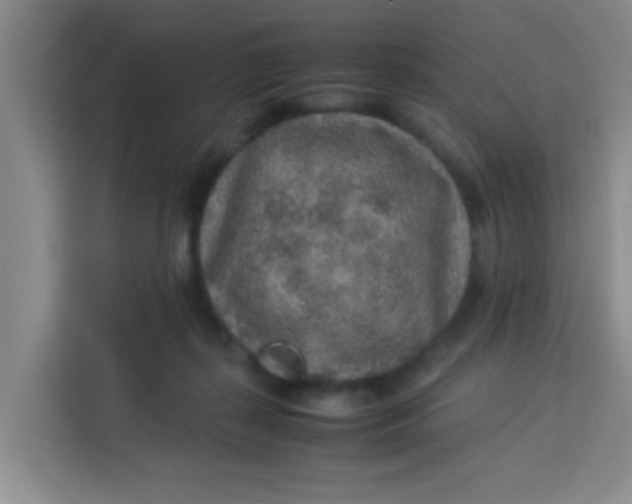 X0000113640267200910091542