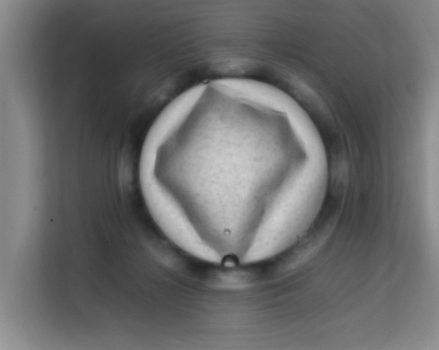 X0000113640268200910091542