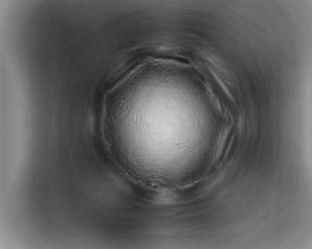 X0000113640269200910091543