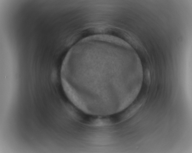 X0000113640270200910091543