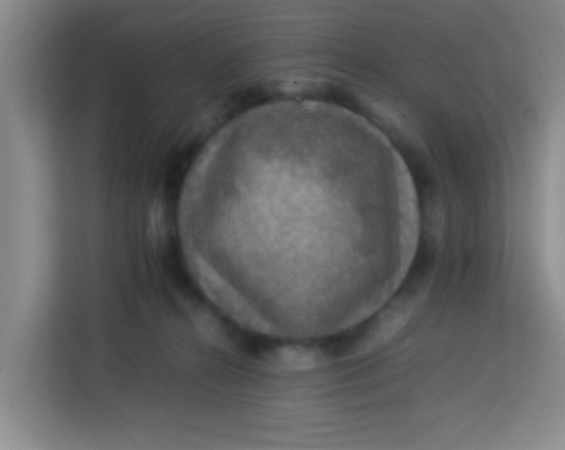 X0000113640272200910091543