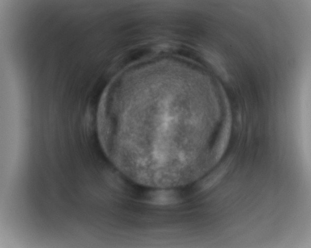 X0000113640273200910091543