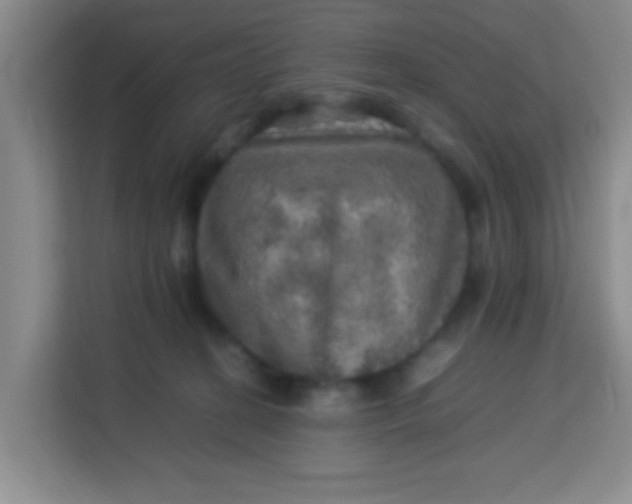 X0000113640274200910091543