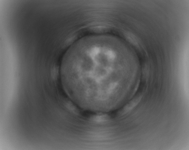 X0000113640278200910091543