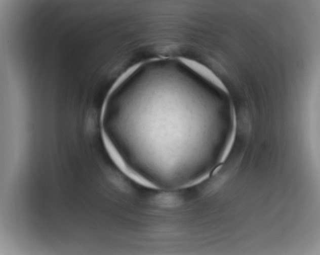 X0000113640280200910091543