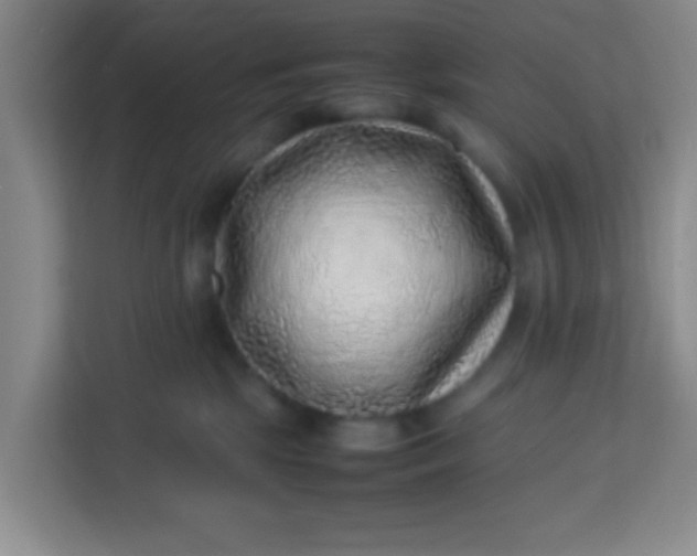 X0000113640281200910091543