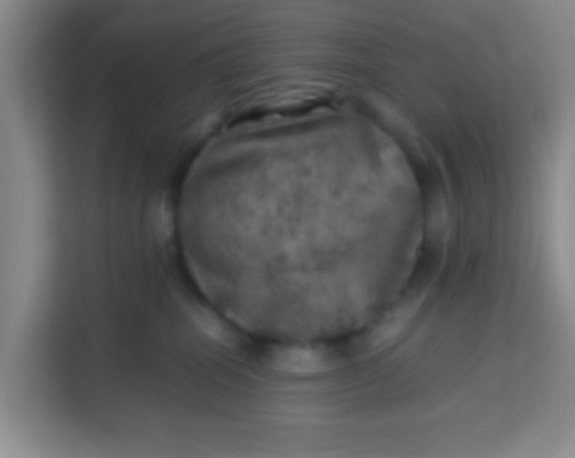 X0000113640282200910091543