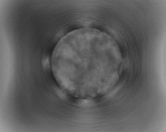 X0000113640286200910091543