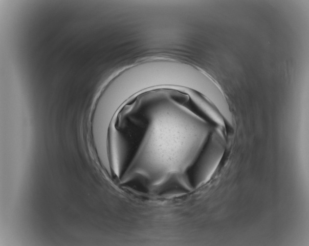 X0000113640289200910091542