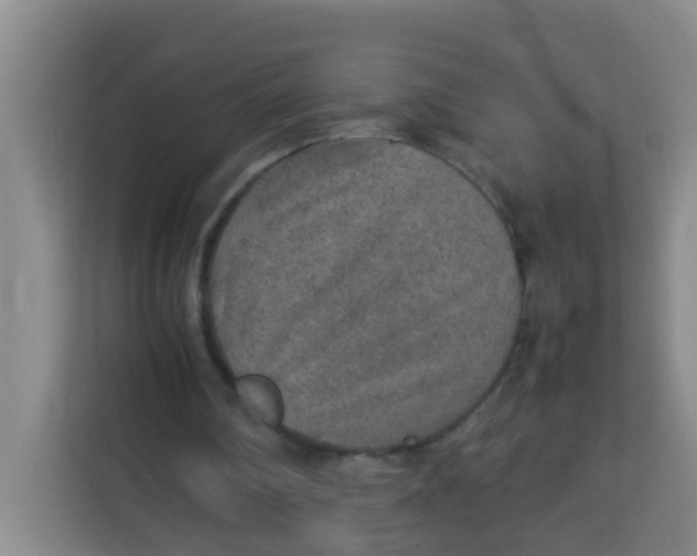 X0000113640290200910091542