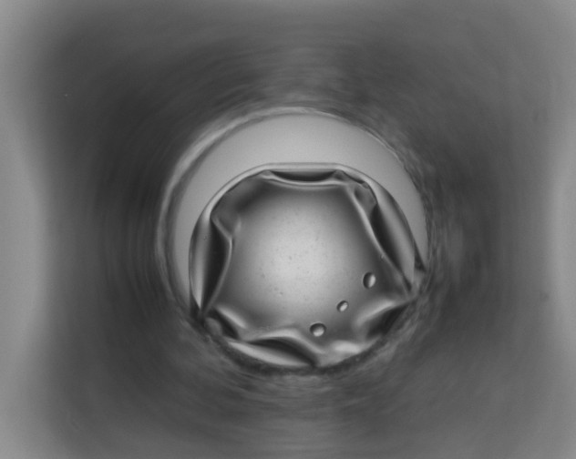 X0000113640292200910091542