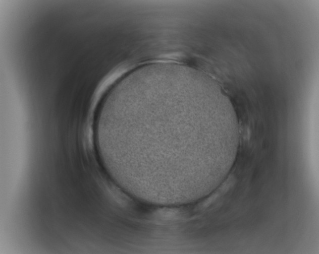 X0000113640294200910091542