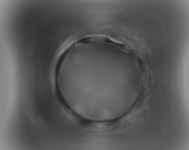 X0000113640295200910091542