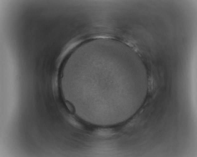 X0000113640296200910091542