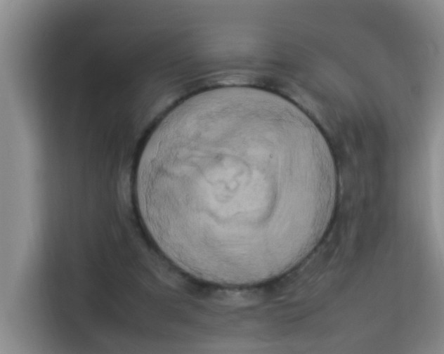 X0000113640297200910091542