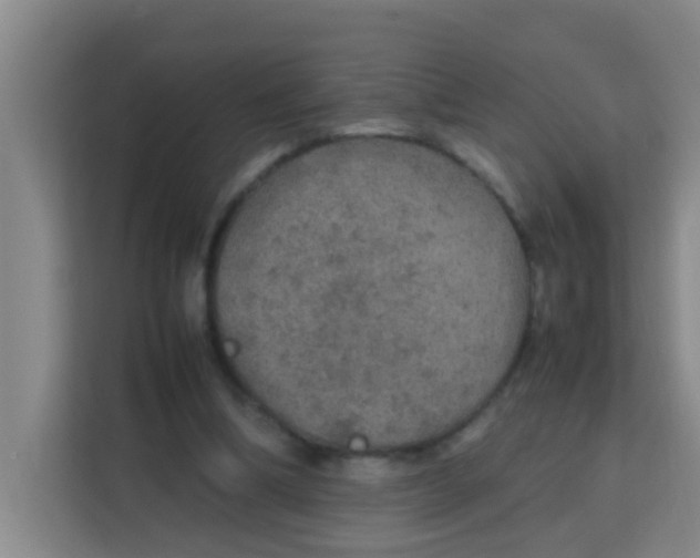 X0000113640298200910091542