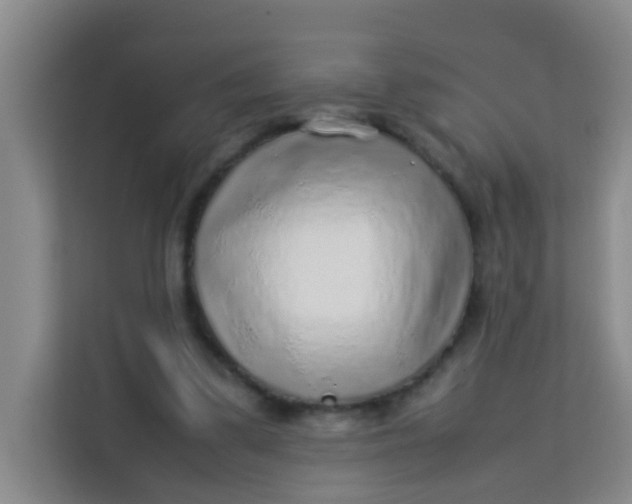 X0000113640299200910091542