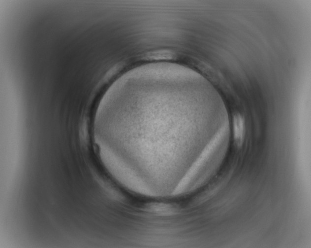 X0000113640300200910091542