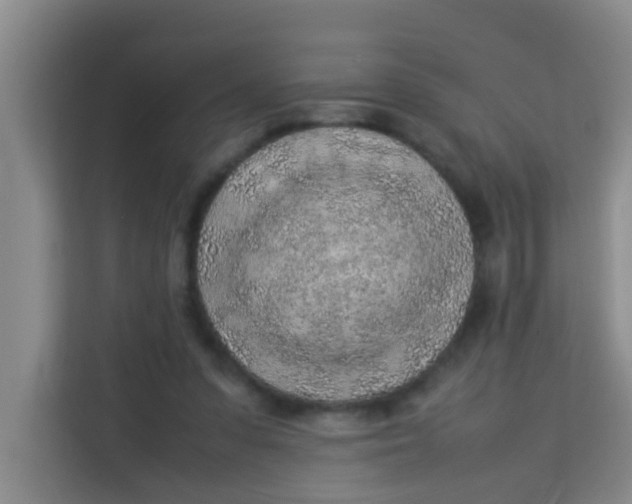 X0000113640303200910091542