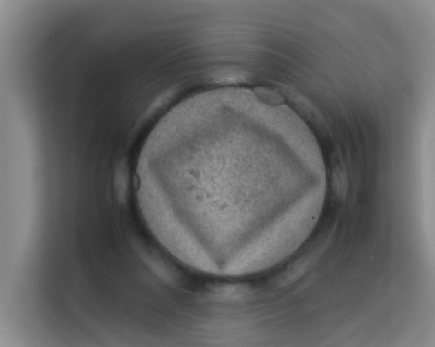 X0000113640304200910091542