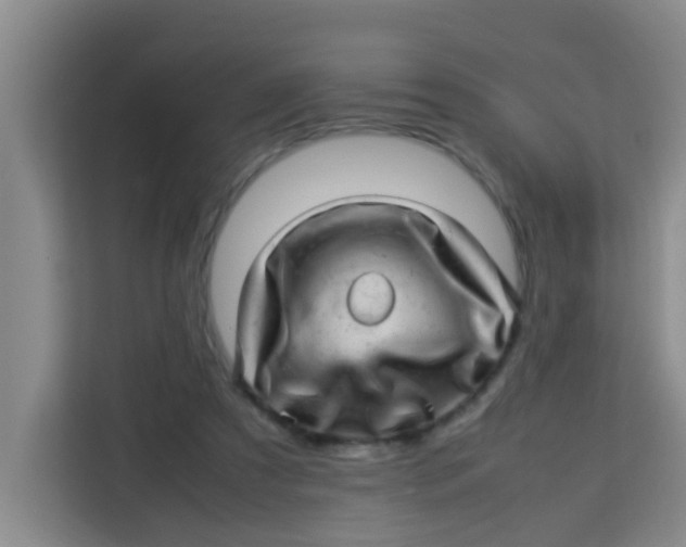 X0000113640305200910091542