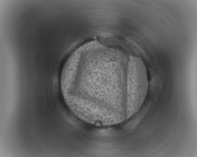 X0000113640306200910091542