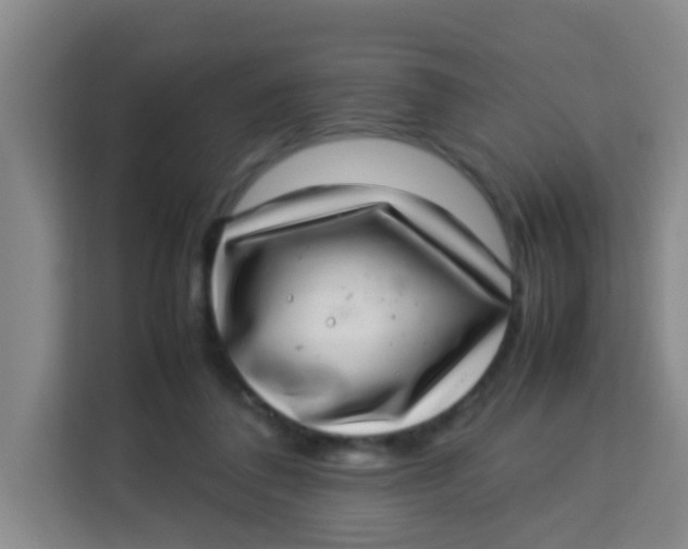 X0000113640308200910091542