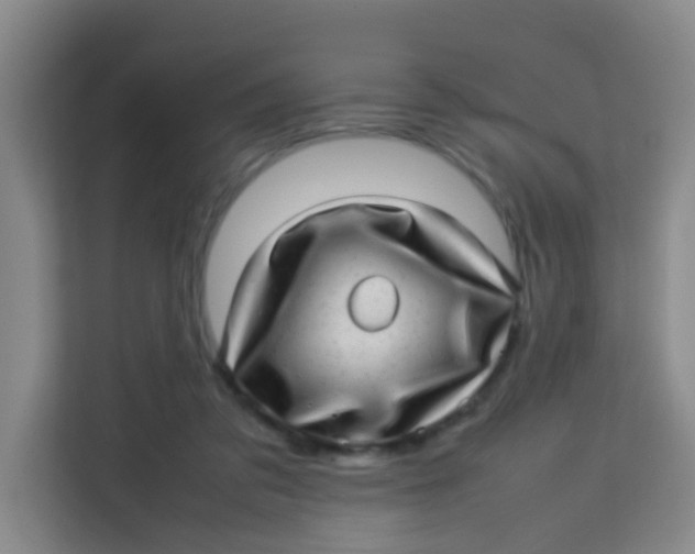 X0000113640309200910091542