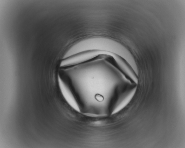 X0000113640312200910091542