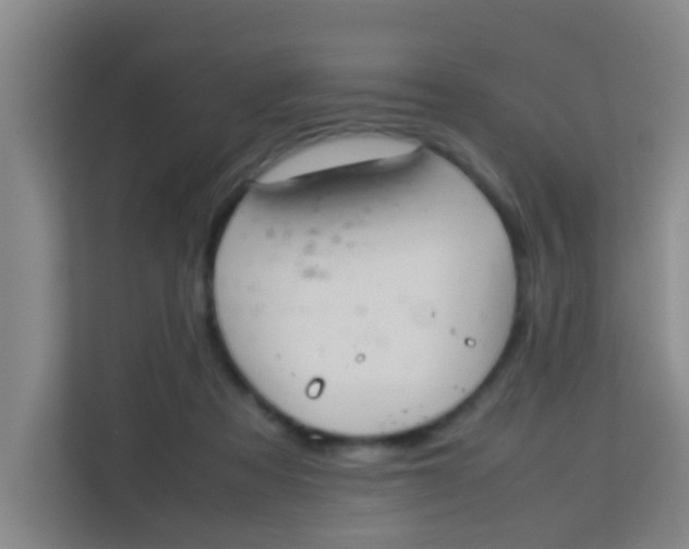 X0000113640313200910091542