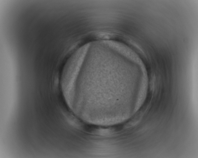 X0000113640314200910091542