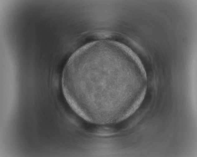 X0000113640315200910091542