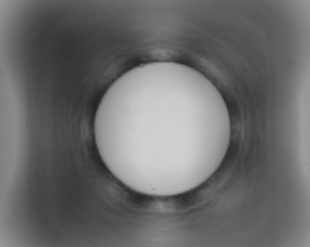 X0000113640317200910091542