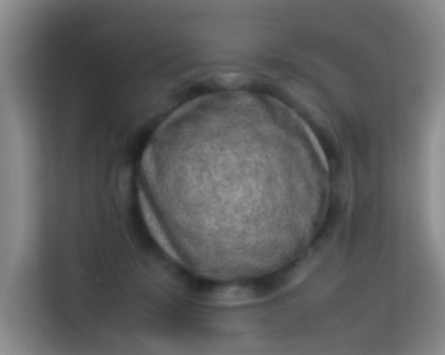 X0000113640319200910091542