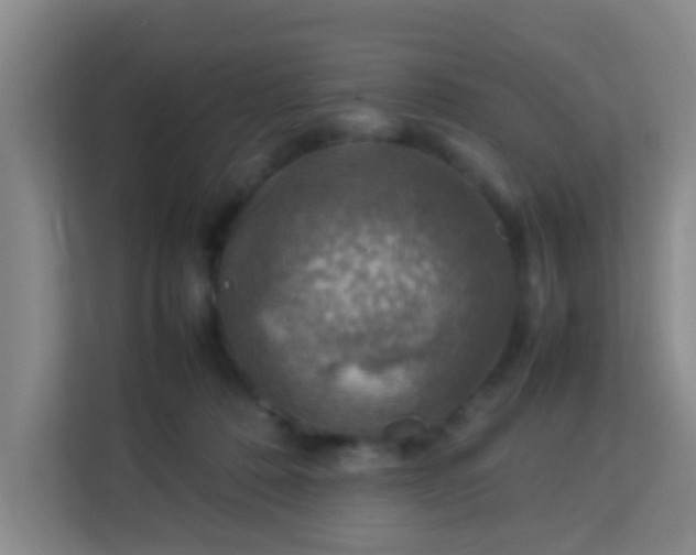 X0000113640320200910091542