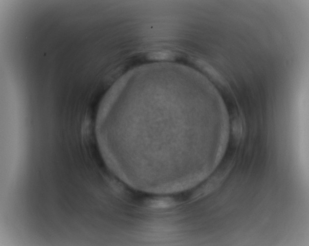 X0000113640322200910091542