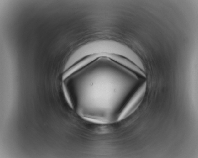 X0000113640324200910091542