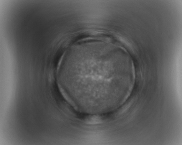 X0000113640325200910091542