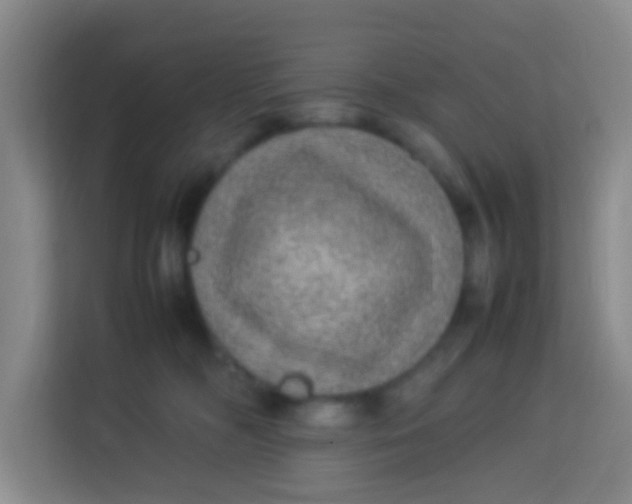 X0000113640326200910091542