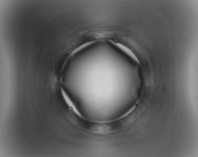 X0000113640327200910091542