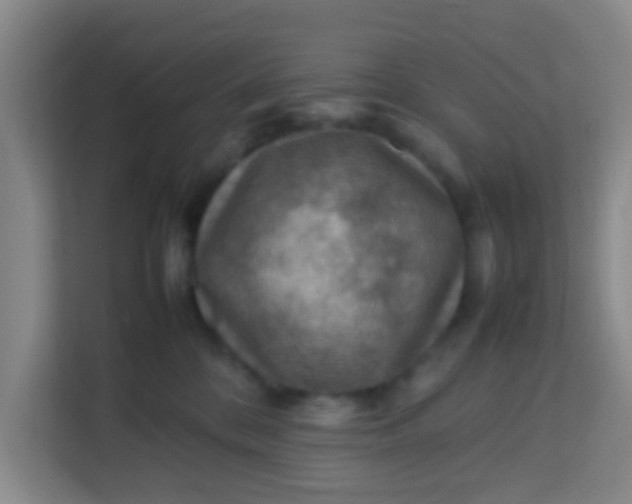 X0000113640328200910091542