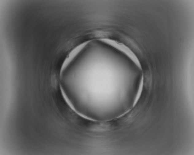 X0000113640329200910091542