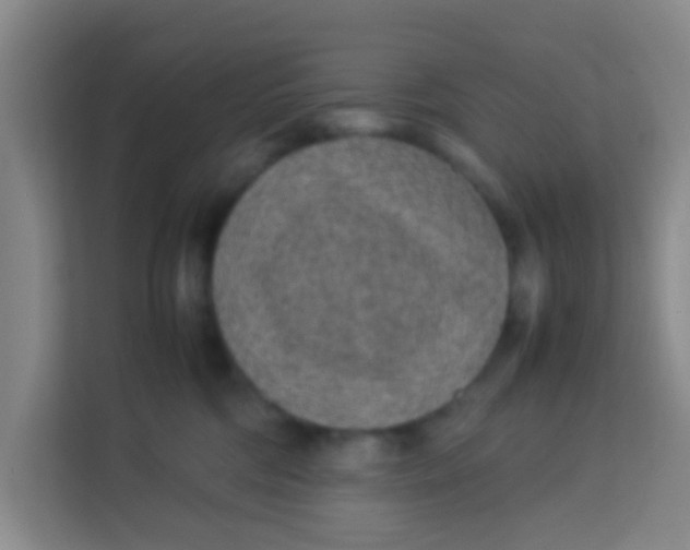 X0000113640330200910091542