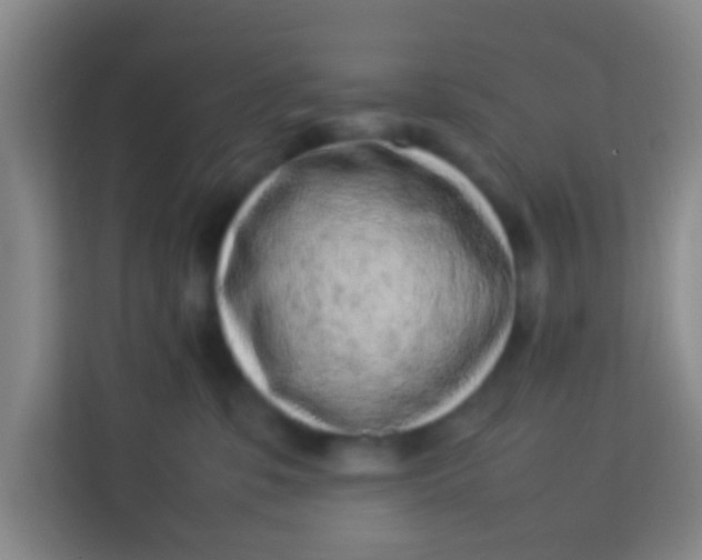 X0000113640331200910091542