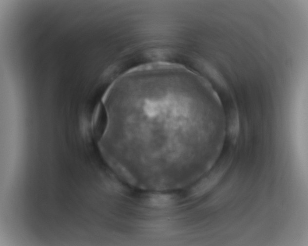 X0000113640332200910091542