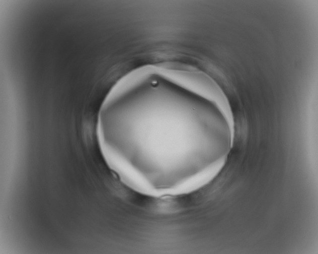 X0000113640333200910091542