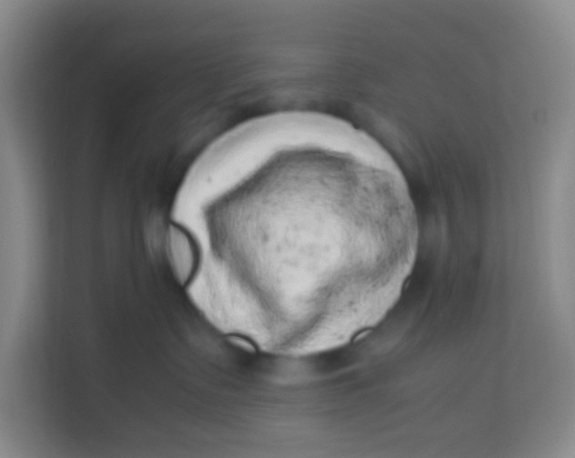 X0000113640335200910091542