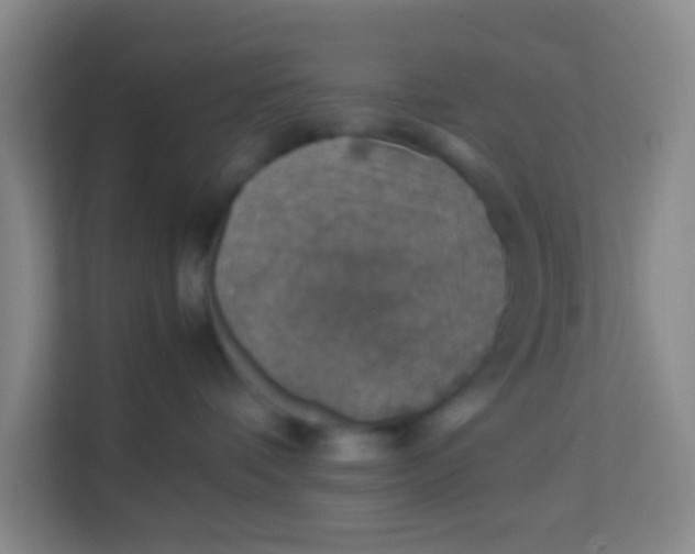 X0000113640336200910091542