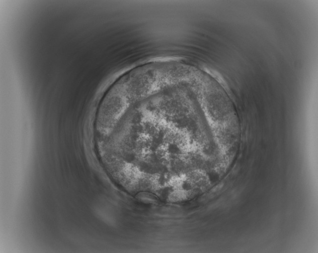 X0000113640337200910091541